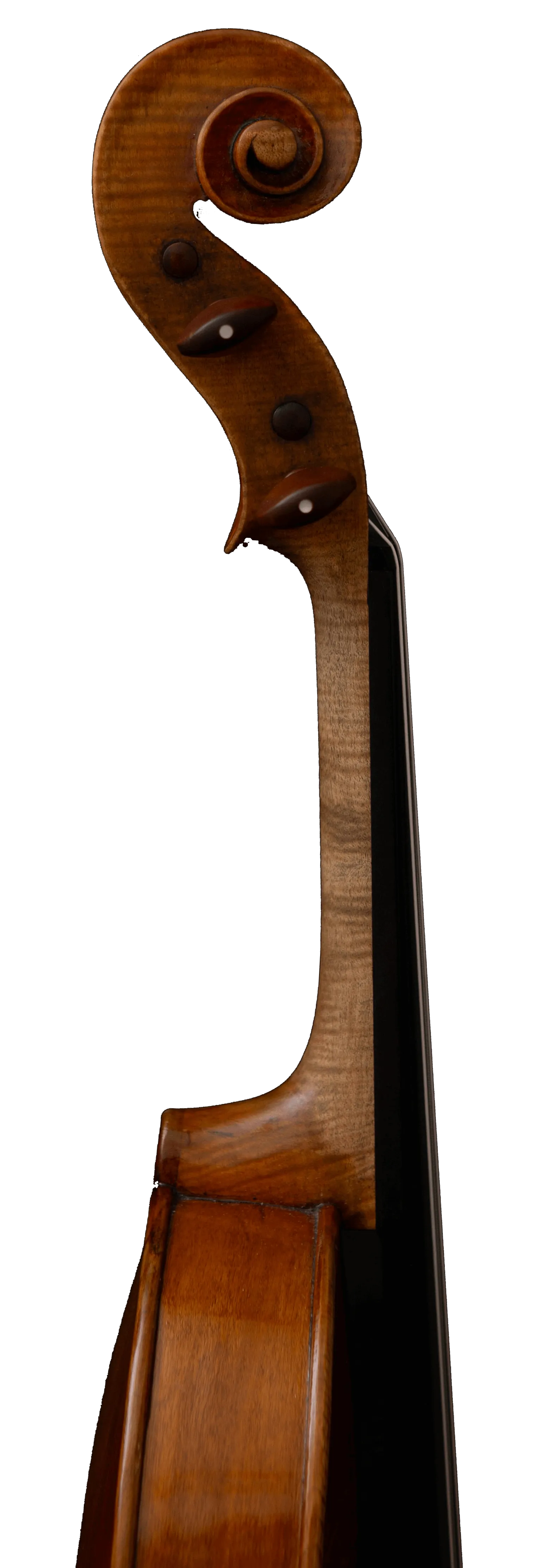 The neck of a violin.
